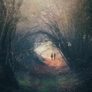 妊活霊在线观看
