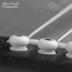 妊活霊在线观看
